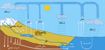 دورة الماء