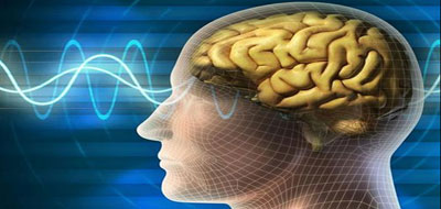 أوامر الدماغ البشري تنتقل عبر الإنترنت