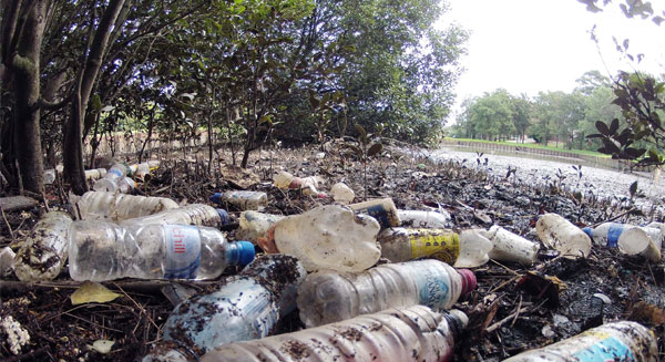 رمي المواد البلاستيكية.. يهدد البيئة
