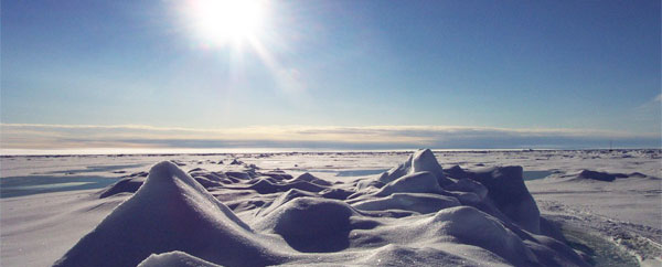 القطب الشمالي يسجل أعلى درجات حرارة له من 44 ألف عام