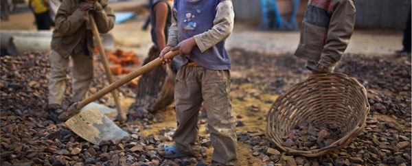 تراجع عدد الأطفال العاملين في العالم