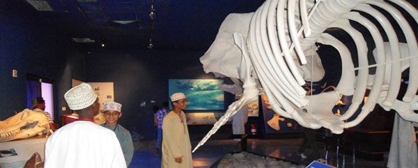 متحف التاريخ الطبيعي بسلطنة عمان