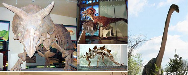 اكتشاف أضخم ديناصور عاش في أوروبا أثناء العصر الجوارسي