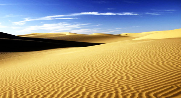 دور الصحراء في امتصاص ثاني أكسيد الكربون