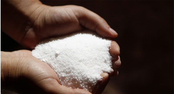 تناول الملح يزيد من خطر الإصابة بالسمنة