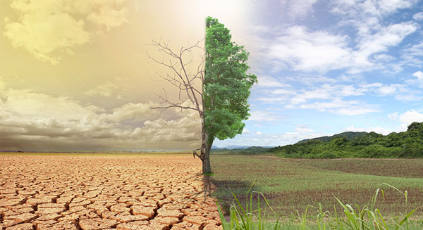 أثر التغيرات المناخية على الزراعة حول العالم